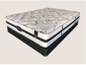 Dream Catcher Mattress & Foundation
